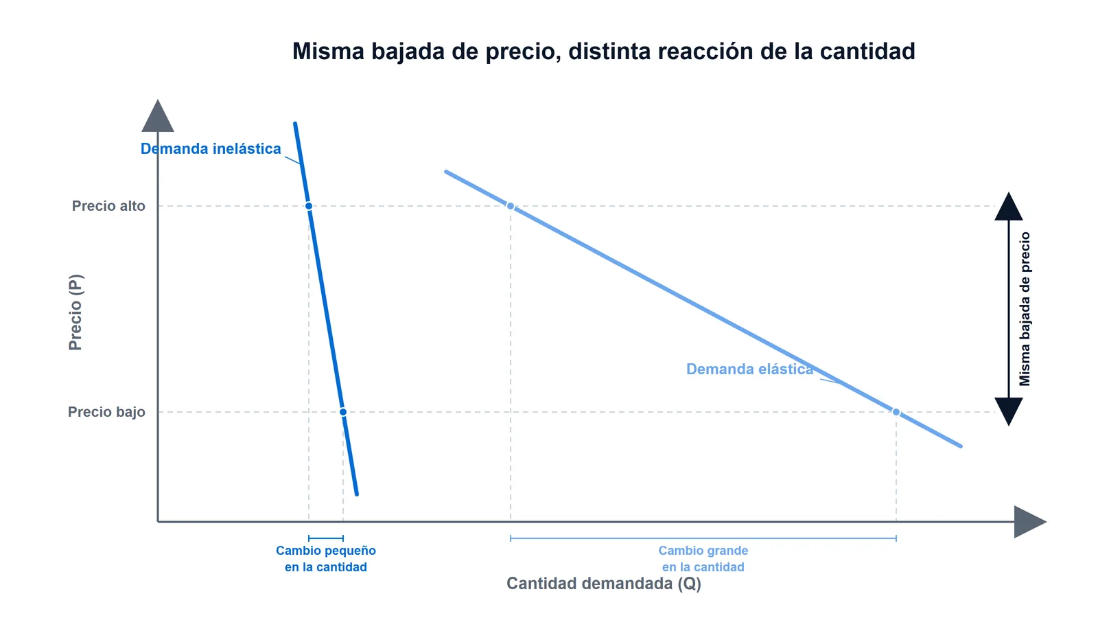 Comparación de curvas de demanda: ante la misma bajada de precio, la demanda inelástica (empinada) cambia la cantidad muy poco y la demanda elástica (acostada) la cambia mucho; ambas curvas son descendentes.