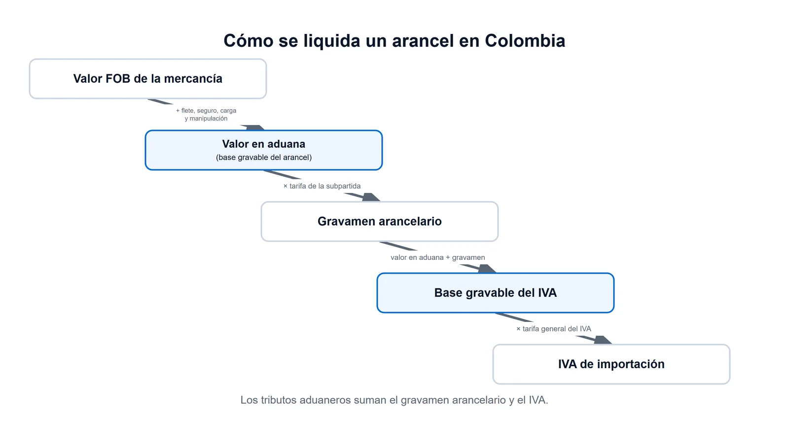 Esquema de la cascada de liquidación de un arancel en Colombia: del valor FOB al valor en aduana, del gravamen arancelario a la base gravable del IVA