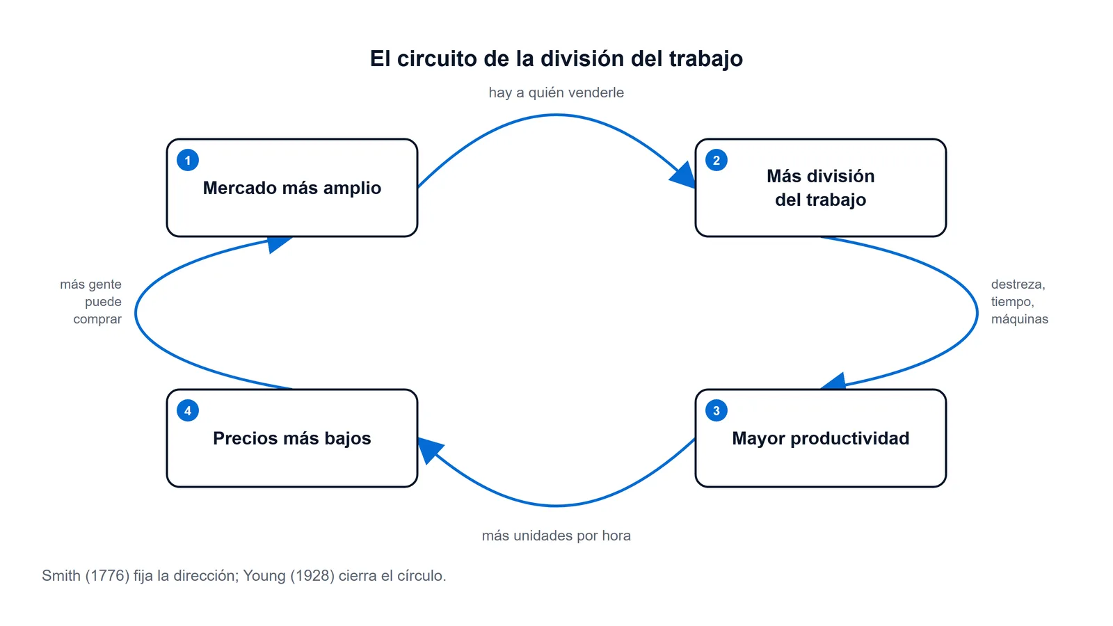 Circuito de realimentación entre la extensión del mercado y la división del trabajo