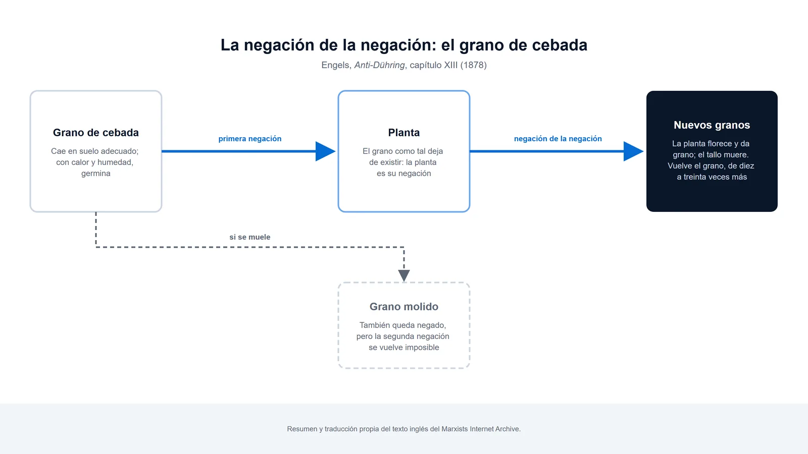 Esquema de la negación de la negación según Engels: el grano de cebada germina, la planta da nuevos granos, y el grano molido queda negado sin desarrollo